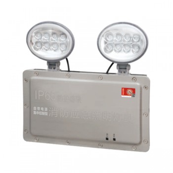 廣東敏華電器有限公司_M6511 防水型雙頭燈自電集控IP65 M-ZFZC-E2W6511